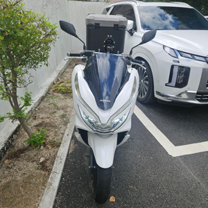 PCX125 19년식 판매합니다.