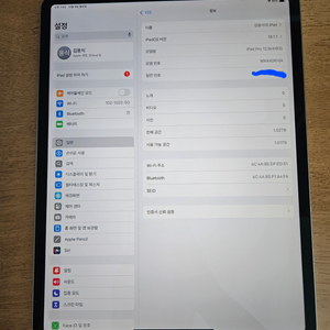 아이패드 프로 4세대 12.9인치 SSD 1TB