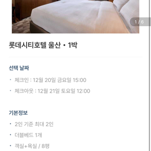 울산 롯데시티호텔 1박 * 42 (12월 20일)