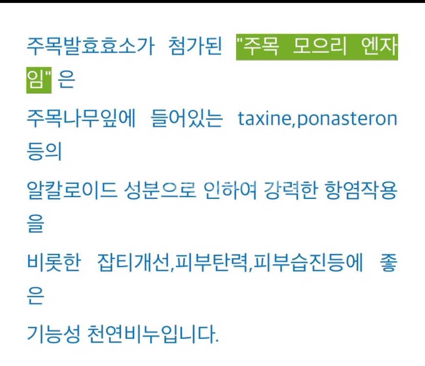 주목 모으리 엔자임 천연 비누 10개 일괄--2