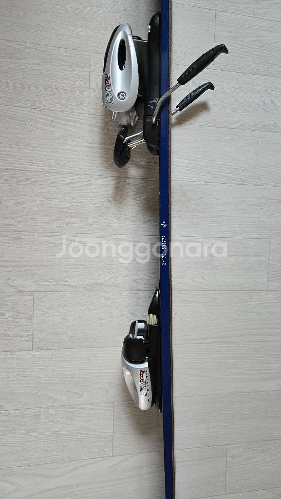스키플레이트 + 스키폴대--1
