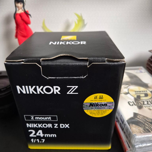 NIKKOR 니콘 Z DX 24mm F1.7