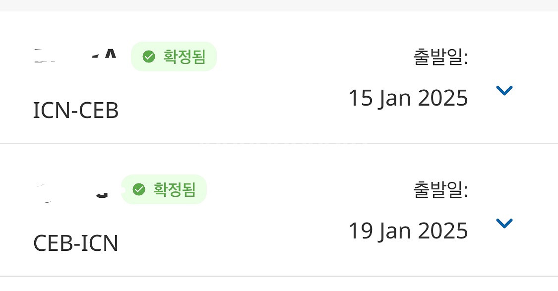 25년1월15~19일 세부 항공권양도--1
