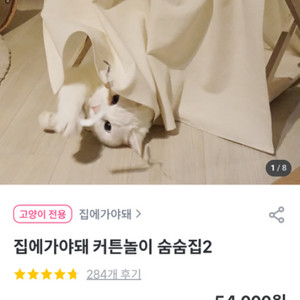 고양이 커튼놀이 숨숨집