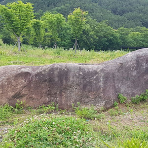 자연석(스테시석) 조경석 정원석 판매