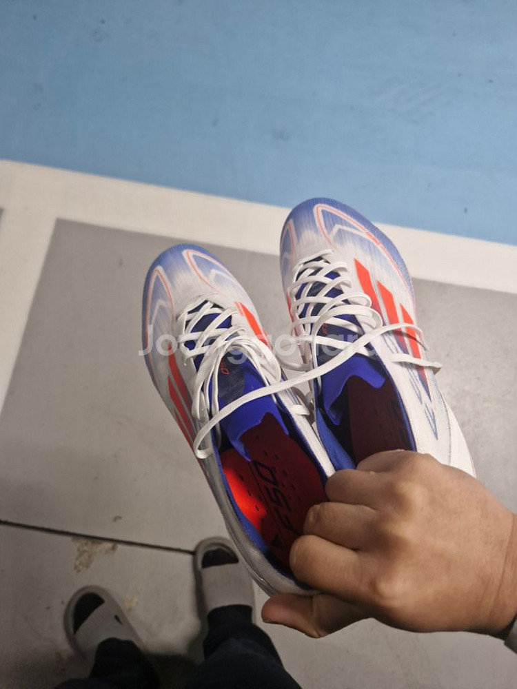 285 f50--1