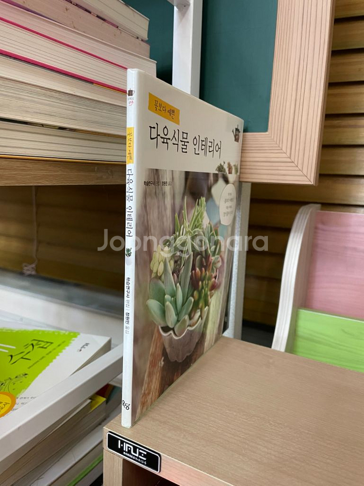 꽃보다 예쁜 다육식물 인테리어--2
