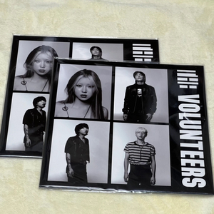 더발룬티어스 The Volunteers LP