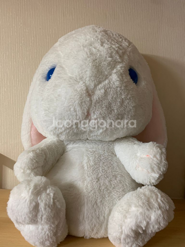 어뮤즈 토끼인형 일본 정품 어뮤즈 토끼 롯삐 코론 인형--0