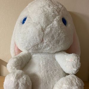 어뮤즈 토끼인형 일본 정품 어뮤즈 토끼 롯삐 코론 인형