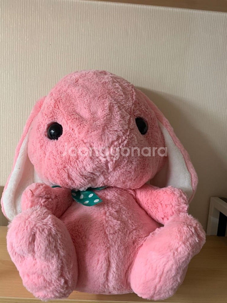 어뮤즈 토끼인형 일본 정품 어뮤즈 토끼 롯삐 코론 인형--0