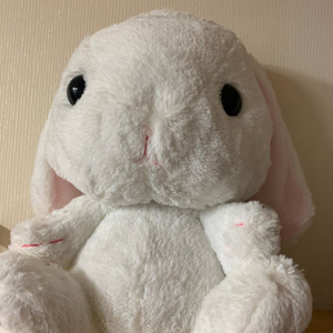 어뮤즈 토끼인형 일본 정품 어뮤즈 토끼 롯삐 코론 인형