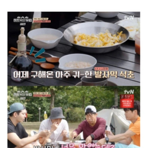 모데나 발사믹 식초 30년산(텐트밖은유럽에 나온)