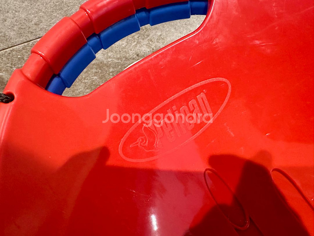 캐나다 펠리칸 펠리컨 눈썰내--1