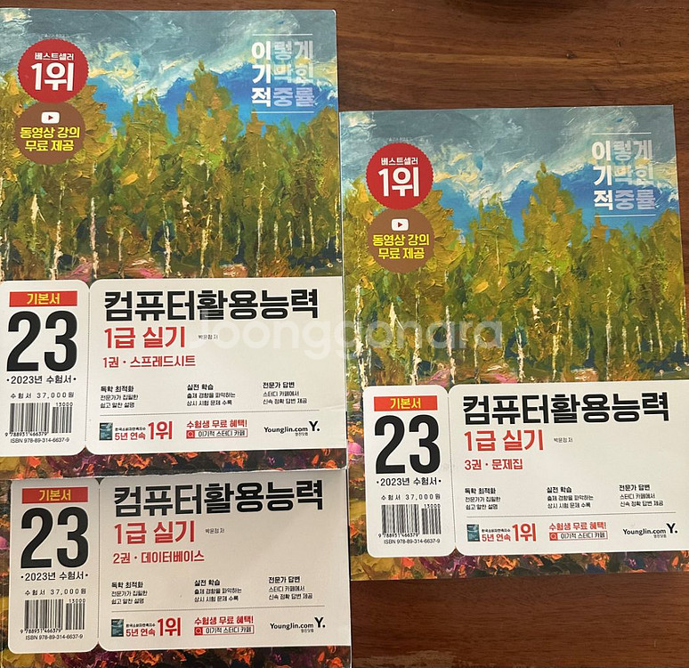 컴퓨터활용능력 1급 실기(기본서)--0