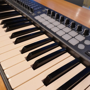 Novation Launchkey 61 MK1 건반