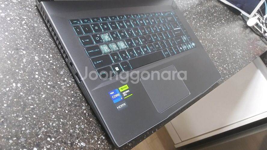 MSI 최신 게이밍 노트북/13세대 i7,RTX4050--5