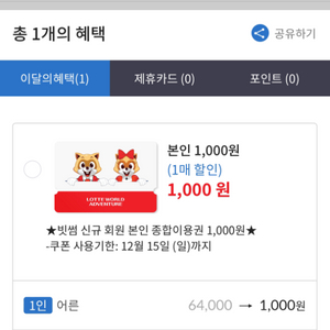 롯데월드 종일 이용권