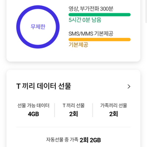 SKT 데이터 2기가 판매