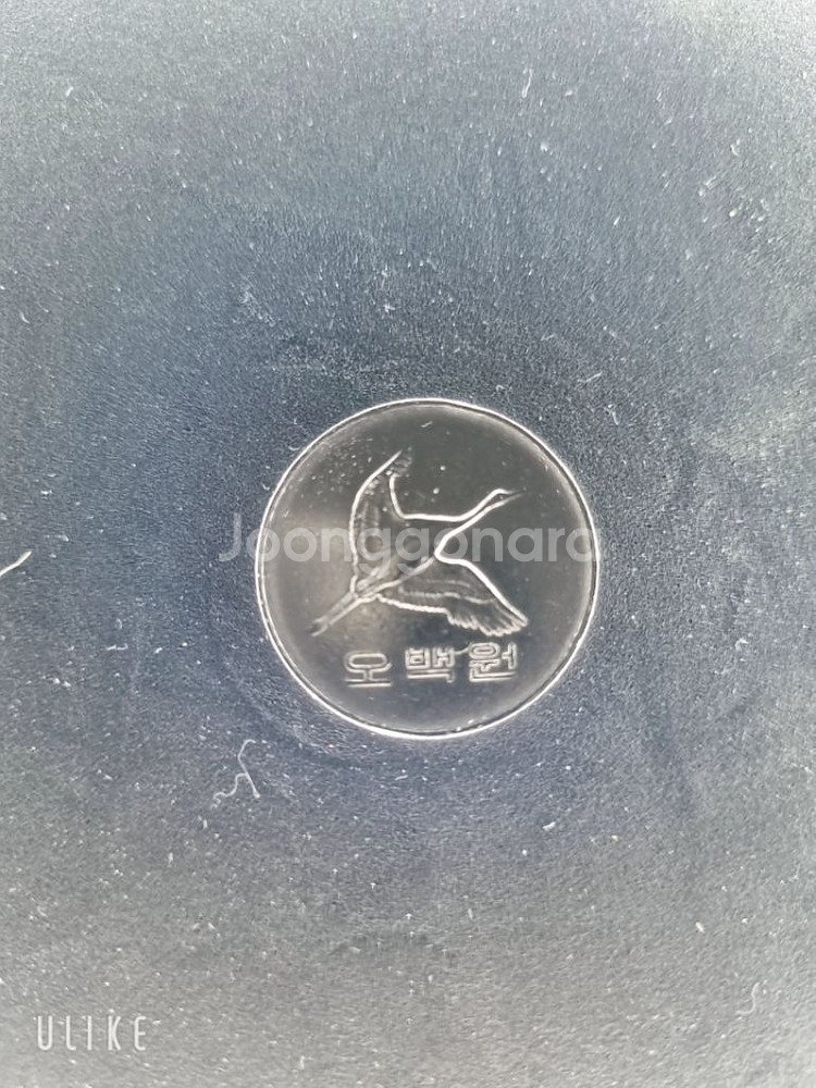희귀동전 1982년 500원--3