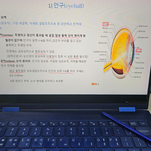 갤럭시북 플렉스