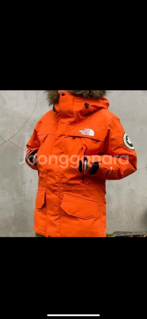 노스페이스 antarctica parka--6
