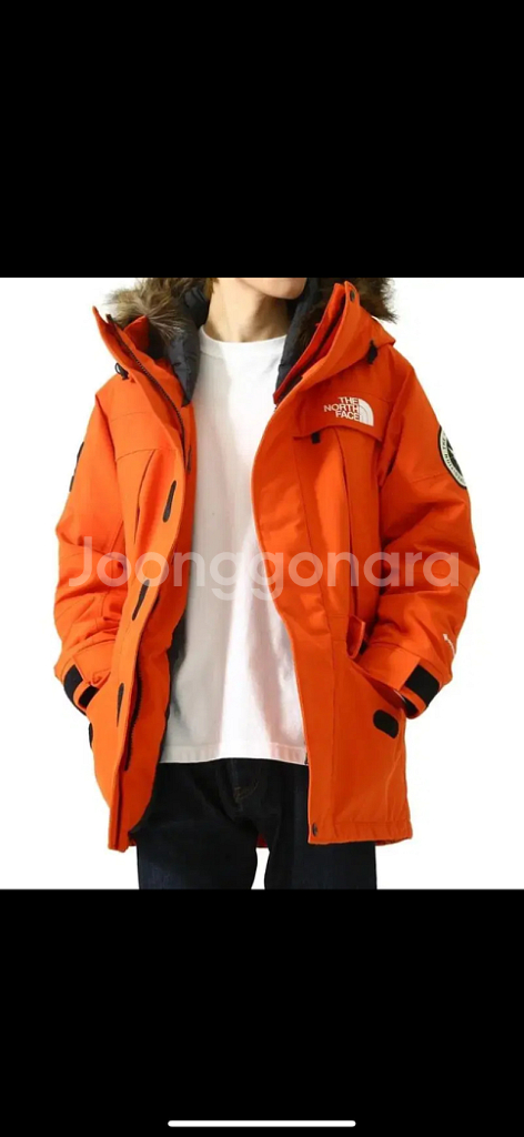 노스페이스 antarctica parka--5