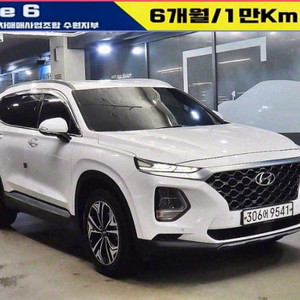 @19년식 싼타페(TM) 2.0T GDi 2WD 익스