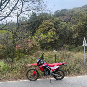 혼다 21년식 crf300l