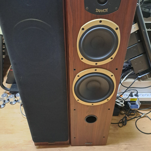 Tannoy Jupiter 6.5인치 미들 앤 베이스