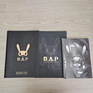 택포)비에이피 BAP 굿즈 판매 포토북시즌그리팅공식키트