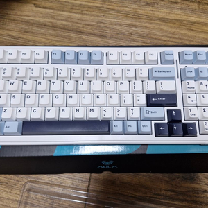 독거미 f99 키보드 경해축