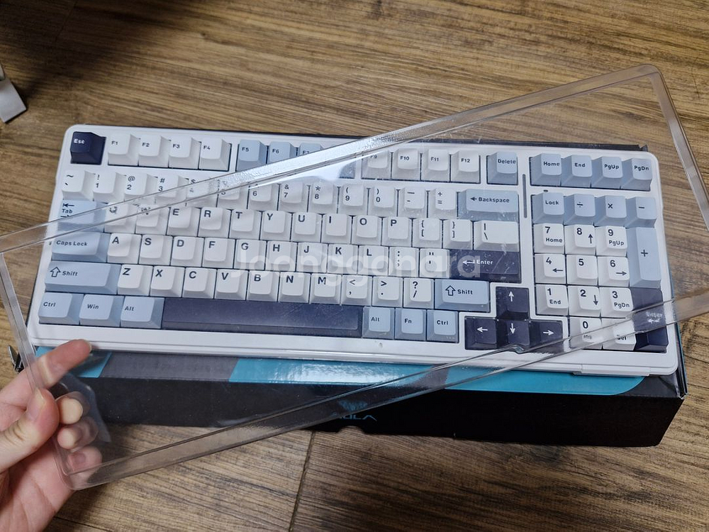 독거미 f99 키보드 경해축--1