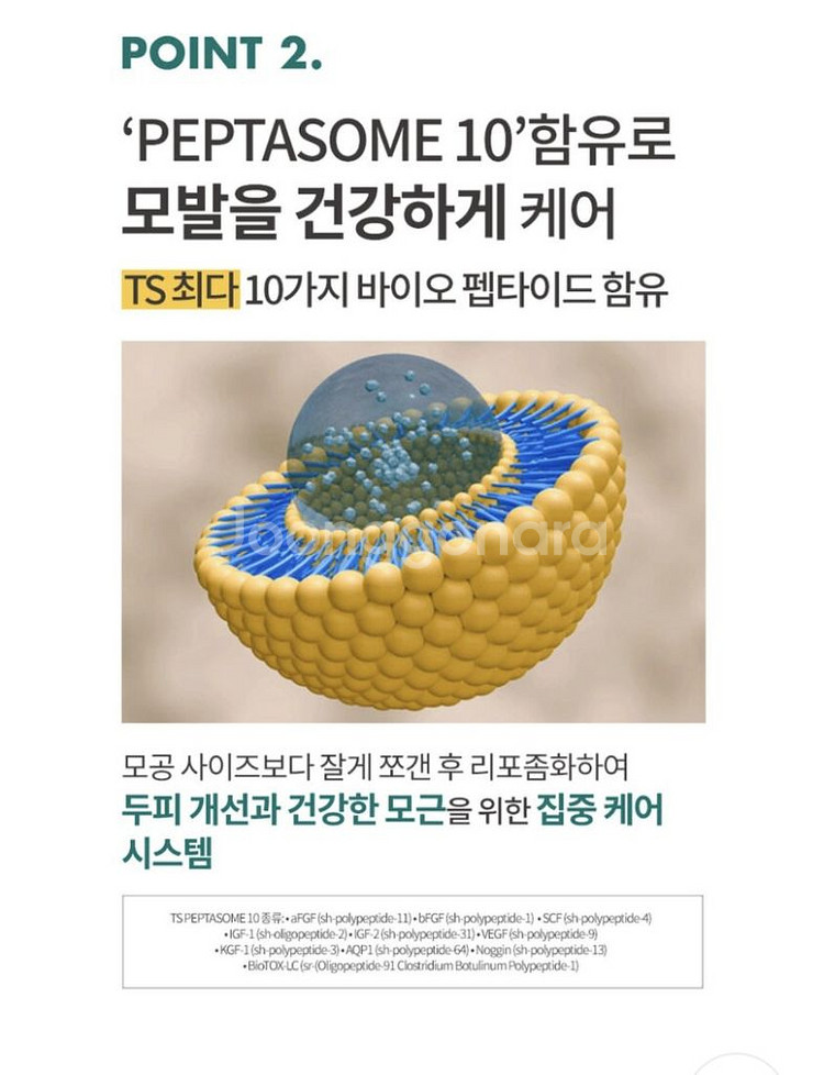 ts 엑스비오틴 탈모방지샴푸 24년 최신상--6
