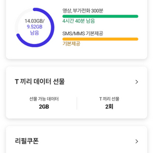 SK데이터 2기가