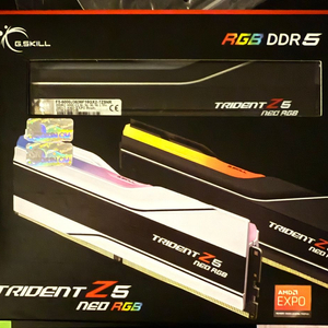 지스킬 DDR5-6000 CL36 32g (급처)