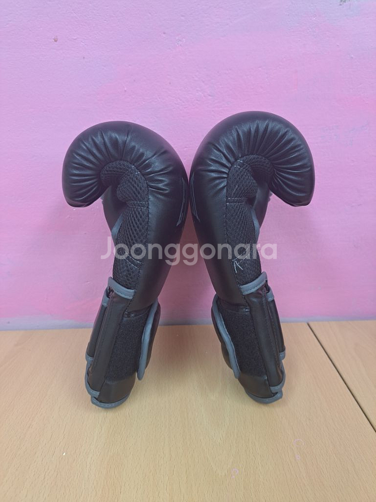 에버라스트 복싱 글러브--3