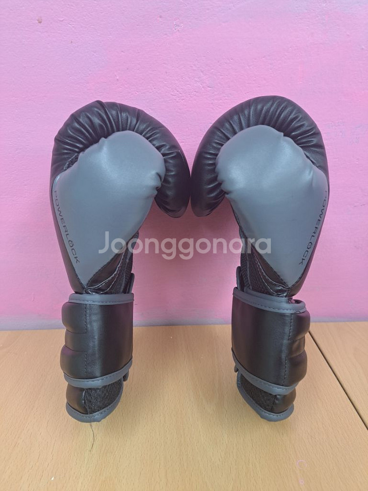 에버라스트 복싱 글러브--1