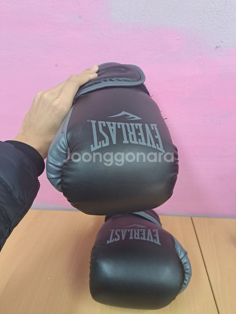 에버라스트 복싱 글러브--6