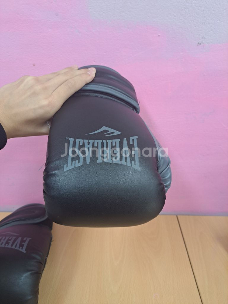 에버라스트 복싱 글러브--7