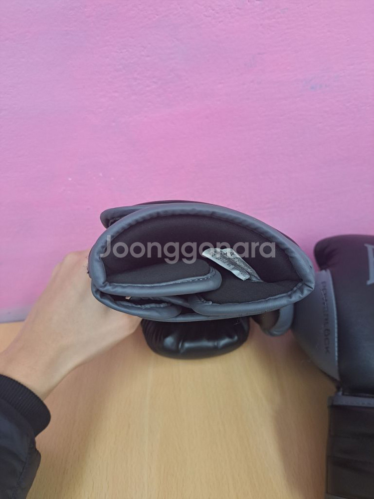 에버라스트 복싱 글러브--4