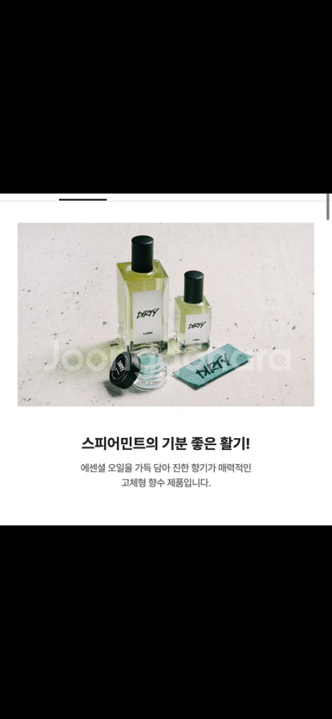 러쉬 솔리드퍼퓸 더티--5