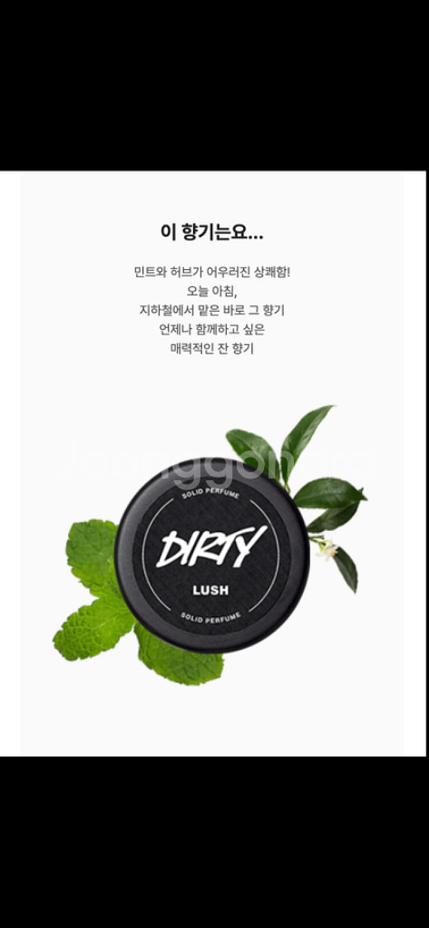 러쉬 솔리드퍼퓸 더티--4