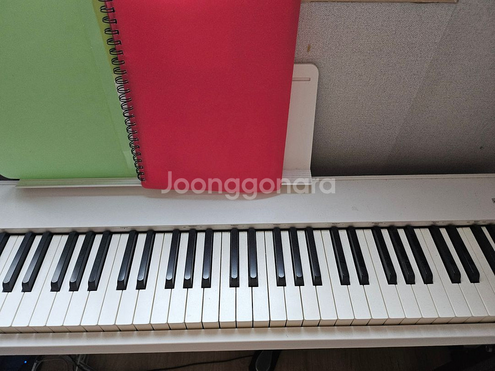 피아노 roland pp30x--1