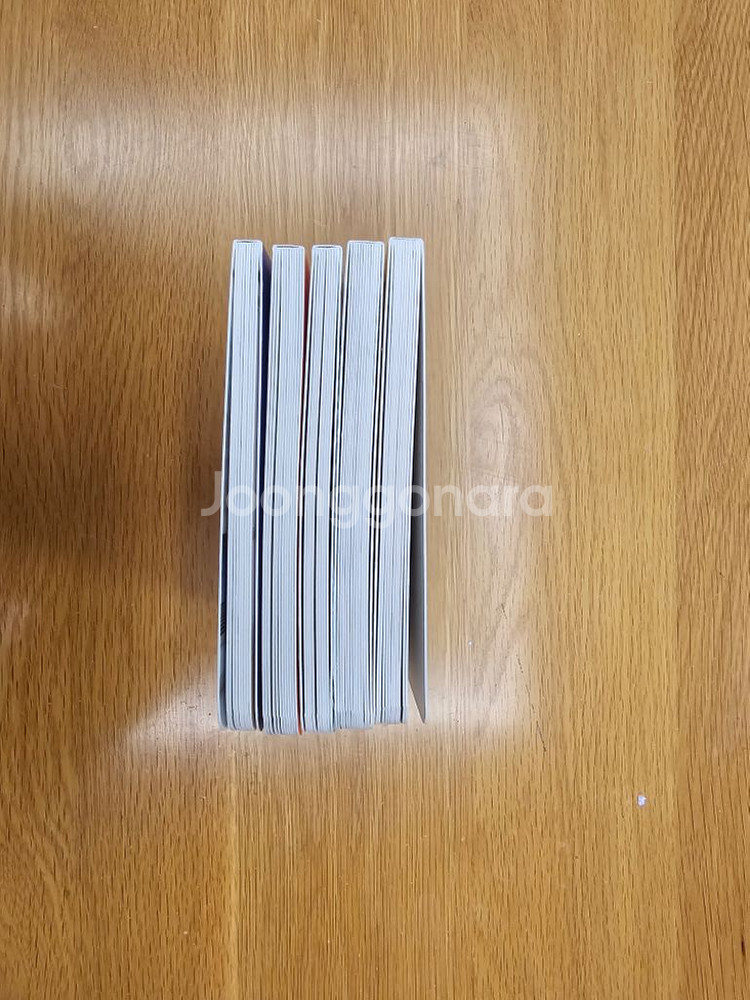 피카비 일상생활 사진책--3