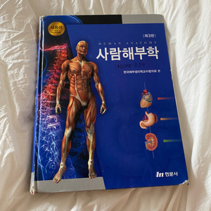 사람해부학