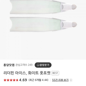 리더핀 아이스