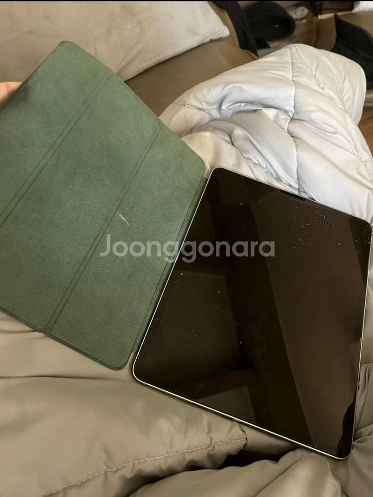 아이패드프로 4세대 256g--1