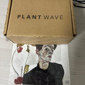 plant wave 플랜트웨이브 (식물midi)25만원