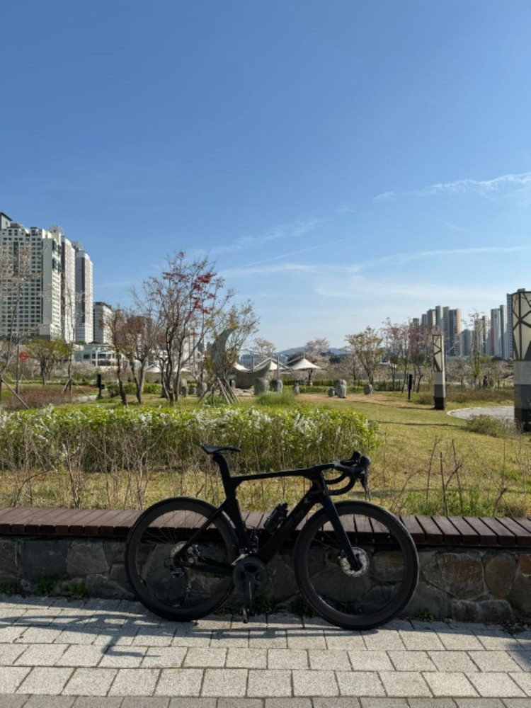 엘브스 팔라스 에보 로드 자전거 이미지